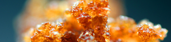 Bubble Hash Cannabis Oil Extraction