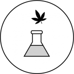 Cannabis Infused Edible Process